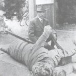 ☆★한국에 호랑이가없는 진짜이유☆★