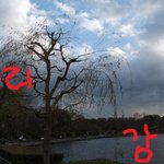 ☞☞☞사진有)저강<b>개리</b>봤어요!!☜☜☜