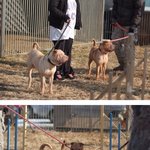 ㅠㅜ빂들