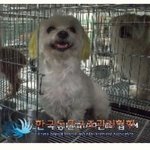 안락사예정일이 이번주입니다. . 넘이쁜아가들.. <b>둘째들</b>이실분들 없으신지...