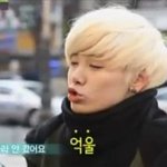 <b>음중</b> 비에이피..
