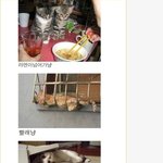 ★★★짧지만 굵고 <b>짜릿</b>한 유머 웃긴이야기05★★★