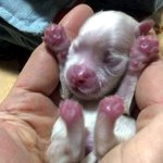 개집에 얹혀사는 가족 *^^*