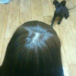 사진有) <b>염색</b>의 잘못된예 ㅋㅋㅋ