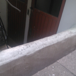 3탄!!_(사진有) [귀염귀염열매를 처묵처묵한 또치또치]★[고양이판]+추가