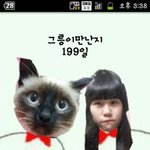 그릉이(고양이)와의 200일 기념♥.♥