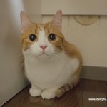 18판- 유봉이 앙<b>즈</b>의 일상-유봉이 쫄다...