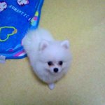 >>> [9탄!!!] 세종<b>대왕</b>  한글 <<<