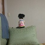 (사진有 왕많음!!)깨물어주고싶은우리애기