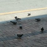 (웃긴실화,사진有)25살 <b>흔녀</b>의 자린고비의 삶.