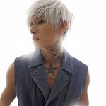 달마시안 이나티