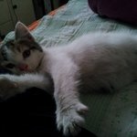 (사진有 많음) 뚱이의 성장과정과 뚱이아기들의 성장과정