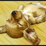 ㅋㅋ내가 늦는이유 ㅋㅋ