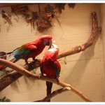 사진多) 동물원 <b>사육사</b>의 일기 ! ( 1 )  - <b>사육사</b> 꿈을가진...