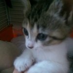 꼰님이 ♥