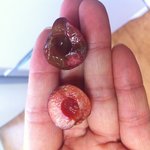 홈&amp;쇼핑에서 <b>체리</b>를 주문했는데...1/3이 무른거네요...아직도...