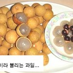 <b>특이</b>하고 신기한 과일 모음