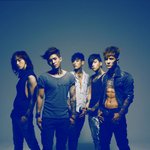 달마시안이라는 그룹에 대해!