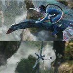 아바타 나<b>비족</b>이나 한국여자나