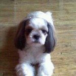 동물농장이 목표다!!! 돌아온 2탄!!