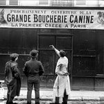 ★★  흔한 프랑스인들의 이중성