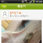 강아지 성기에 매직으로 <b>낙서</b>한 주인 (사진 有)