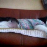 출근할때면 늘 부러워지는...