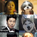 유해진 강아지 <b>싱크</b>백퍼~