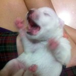 (사진有) 우리 귀염둥이 모닝이 소개해요~^0^