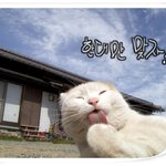 출근 완료...