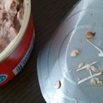 동원참치 150g짜리에서 나온 <b>뼈들</b>...