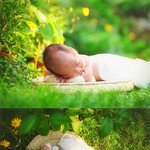 제 <b>조카들</b> 사진 한번 봐주세용~~ㅎㅎ