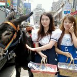 <b>홍대</b>에서 당나귀 봤어요~