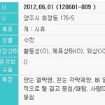 안락사 당할 우리 뭉치를 구해주세요