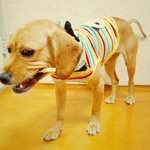 [대구] 우리 <b>동해</b>를 찾습니다! ㅠ_ㅠ