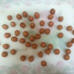 ★★아빠가 비엔나보고 징그럽대요(사진有有)★★