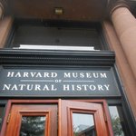 (사진흘러넘침)중삼이미국생활기(18)-카니발축제&amp;P.R.O.M!...