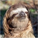 ★★★★틴탑 <b>니엘</b> 닮은 내친구 !!!!★★★★