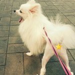 >>> 한글이와 세종대왕 [10탄] <<<