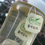 아침에 조깅하면서 요즘 <b>메밀</b>차 챙겨마시는데 올 여름엔 꼭 다이어트...