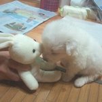 ♡<b>대두</b>,산만이,찌질이 육아일기♡5탄 !!!! (폭풍성장!!!)