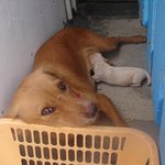 +수정)★★★얼짱 <b>이얌</b>얌 진짜예뻐요 ㅜㅜ★★★★