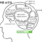 <b>lg</b>팬 뇌구조