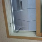수정, 스압, 사진有) 갑자기 고양이가 들어왔네요..ㅋㅋㅋ