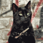 완벽분석!★'7급 공무원’ 제작진 신상코미디[차형사]