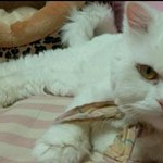 설문 참여 부탁드립니다.