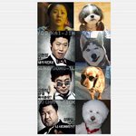 영화]미스govs미스<b>dog</b>