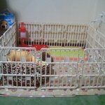 <b>배변</b>훈련이 안되는 우리 강아지ㅠㅠ