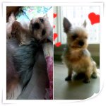 있을까요? 서울 강일동 강일<b>리버</b>파크 사시는 분들 유심히 봐주세요~