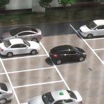 왕따당한 내 <b>차님</b>